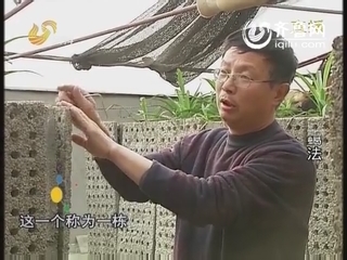 农科直播间：垛体养蝎法