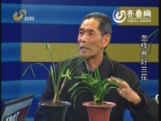 农科直播间：怎样养好兰花