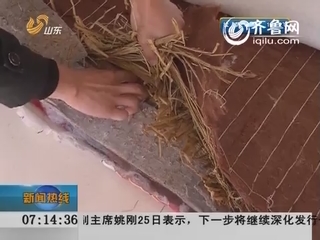 枣庄滕州：床垫填上稻草冒充棕垫