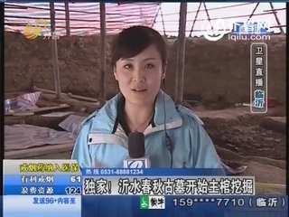 沂水：春秋古墓 主棺室的发掘清理工作正在进行