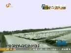 调查：摔瘫女友 他却跑了