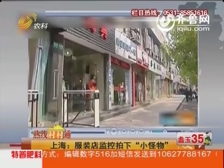 上海：服装店监控拍下“小怪物”