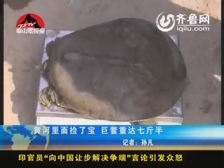 滨州：黄河里面捡了宝 巨鳖重达七斤半
