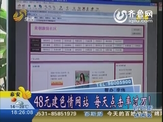 48元建情色网站 每天点击率过万！