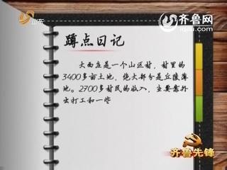 齐鲁先锋：村里来了第一书记（一）