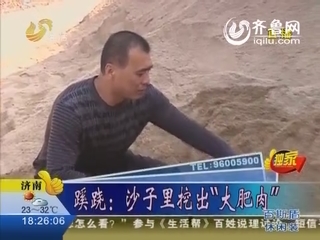 淄博：沙子里挖出“大肥肉” 被证实竟是太岁肉灵芝