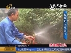 五一特别节目：城里的花甲园丁