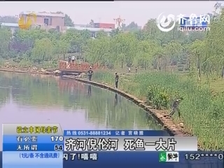齐河：倪伦河死鱼一大片 村民河畔捞鱼有吃有卖