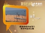 假日旅游：威海建成山东省首个海防林生态公园