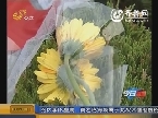 新闻特写：母亲节最伟大的父亲
