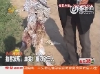拍客发现：血案！镰刀砍三人