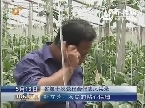 山东省第十次党代会代表风采 杜立芝：农民的贴心保姆