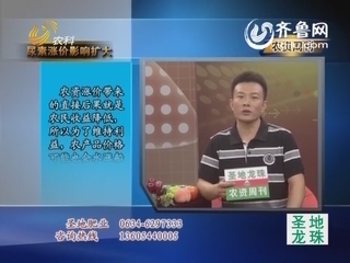 农资周刊：尿素涨价 影响扩大
