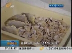 青岛：创意端午节 鱼儿吃粽子