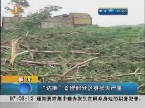 山东境内：“达维”首侵部分地区 受灾损失严重