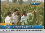 山东：玉米粘虫灾害超过500万亩 虫灾赔偿拷问农险