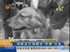 济南首只导盲犬“贝蒂”走失