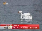 联播快报：山东4.1亿元财政资金投入水污染治理