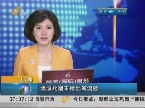 上海：漂浮死猪未检出禽流感