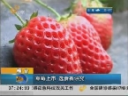 烟台：草莓上市 选食有讲究