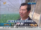 中国梦 我的梦：用科技照亮蔬菜种业“中国梦”