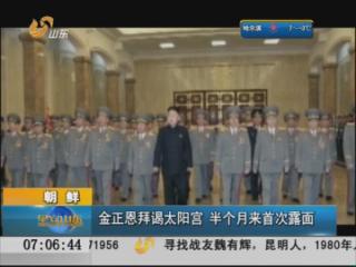 朝鲜：金正恩拜谒太阳宫 半个月来首次露面