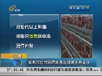 山东省政府出台扶持家禽业健康发展意见