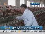 受H7N9疫情影响畜禽养殖业陷入低谷期