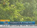 最新天气：山东潍坊淄博最高气温36度 多地有雷雨或阵雨
