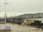 青岛市开始为期三个月的伏季休渔