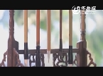 电视农科频道-中国梦之出彩的青春