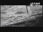 电视农科频道-中国梦 七彩梦