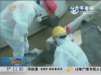 福岛核污水泄漏 蓄水罐辐射激增