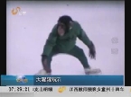 轻松一刻：大猩猩玩花样滑冰