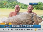 泰国：英国游客钓到122斤巨型鲤鱼