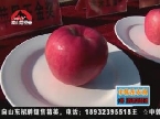 栖霞首届苹果王大赛 推动苹果产业