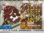 “身边”：金秋菊花聚会