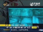 济南:“大胆”小偷：监控报警不畏惧 继续“奋战”偷东西