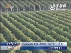 山东省农科院葡萄与葡萄酒工程研究中心揭牌
