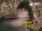 山东卫视独家跨年巨献《闯关东前传》宣传片兄妹篇