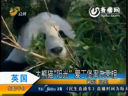 成都最牛协管员图片