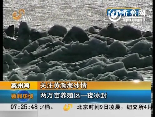 关注黄渤海冰情：两万亩养殖区一夜冰封