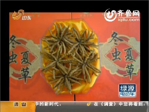 冬虫夏草的天价神话：“软黄金”背后暗藏炒作利益链