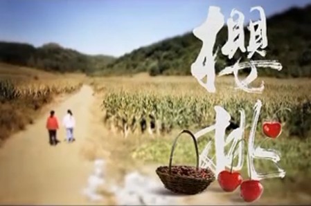 山东卫视2012悲情大戏《樱桃》最唯美宣传片