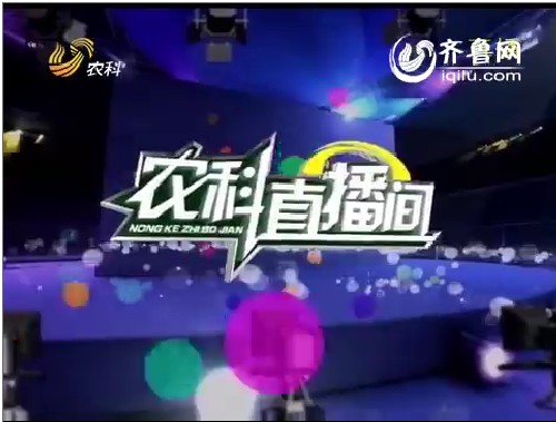 农科直播间：爱上五谷杂粮