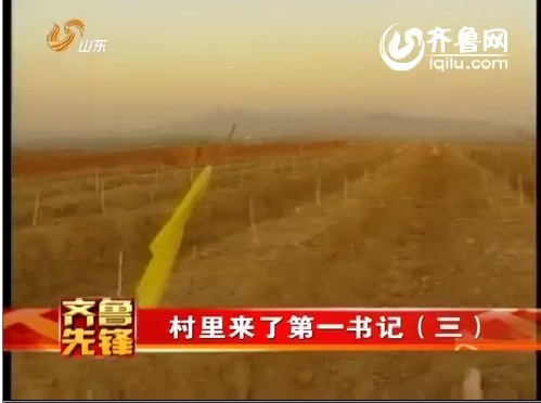 齐鲁先锋：村里来了第一书记（三）