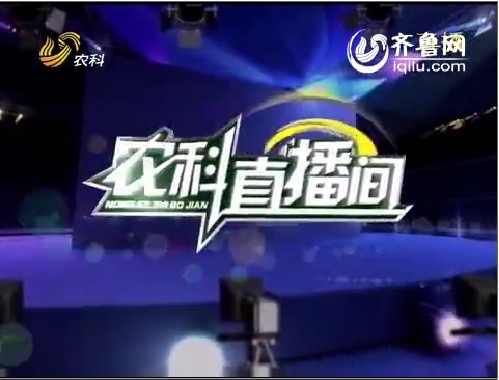 农科直播间：话说甘薯