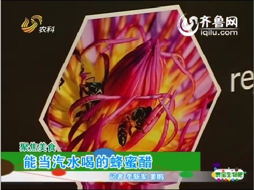 聚焦美食：能当汽水喝的蜂蜜醋