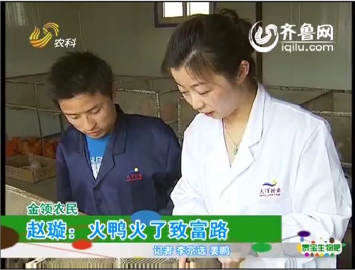 金领农民：赵璇：火鸭火了致富路