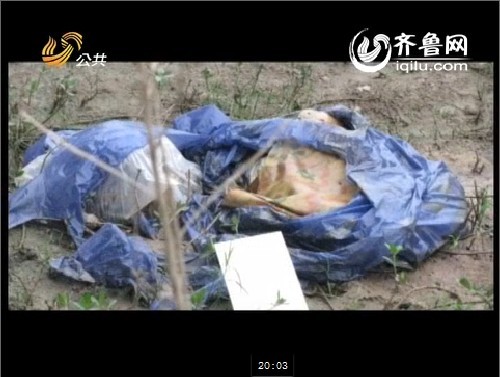 白静死亡之谜 女演员白静死亡之谜_视频中心_